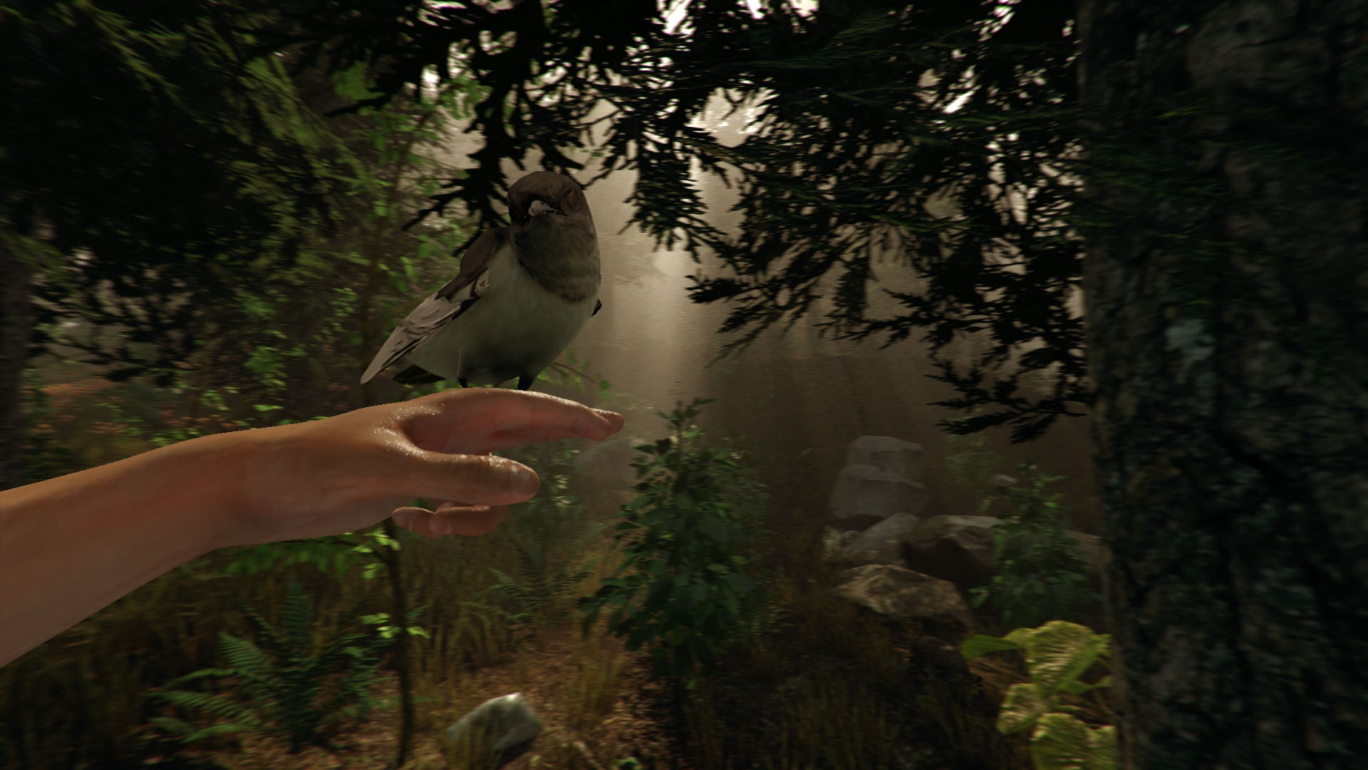 Majestætisk privat Meddele The Forest' Oculus Rift Survival Horror Game Launches May 22, VR Motion  Controls Planned