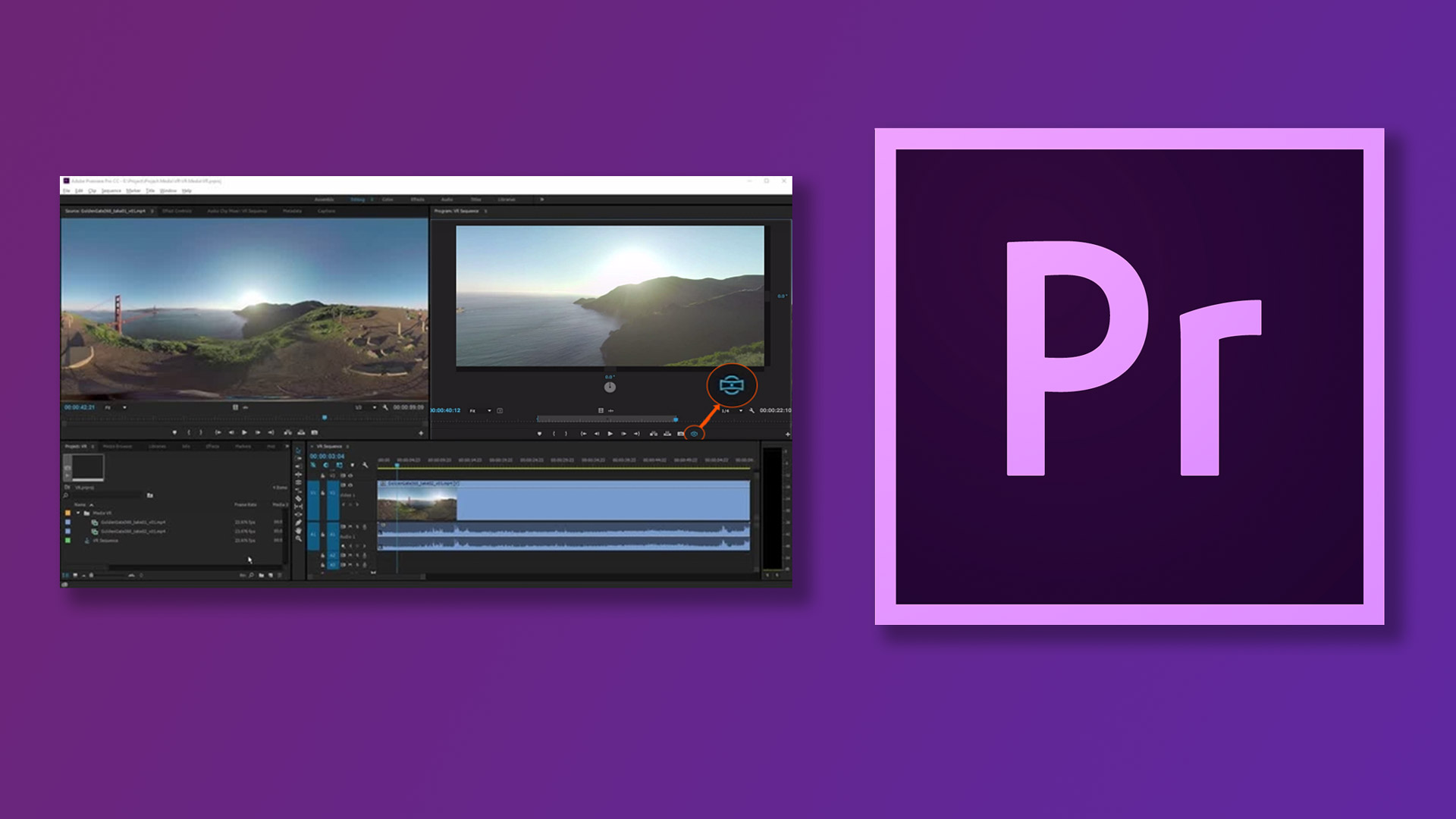 Professional video editing software