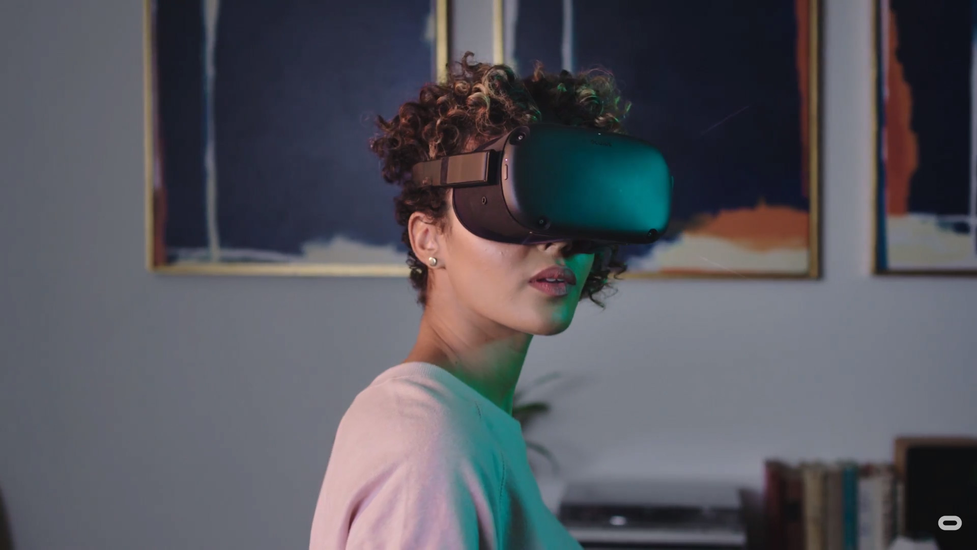 oculus quest worth