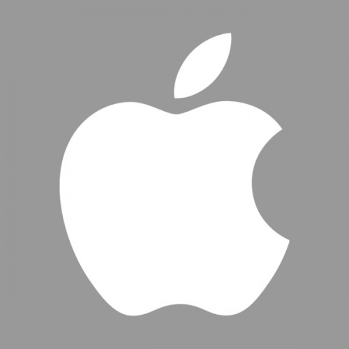 Apple Logo Grey